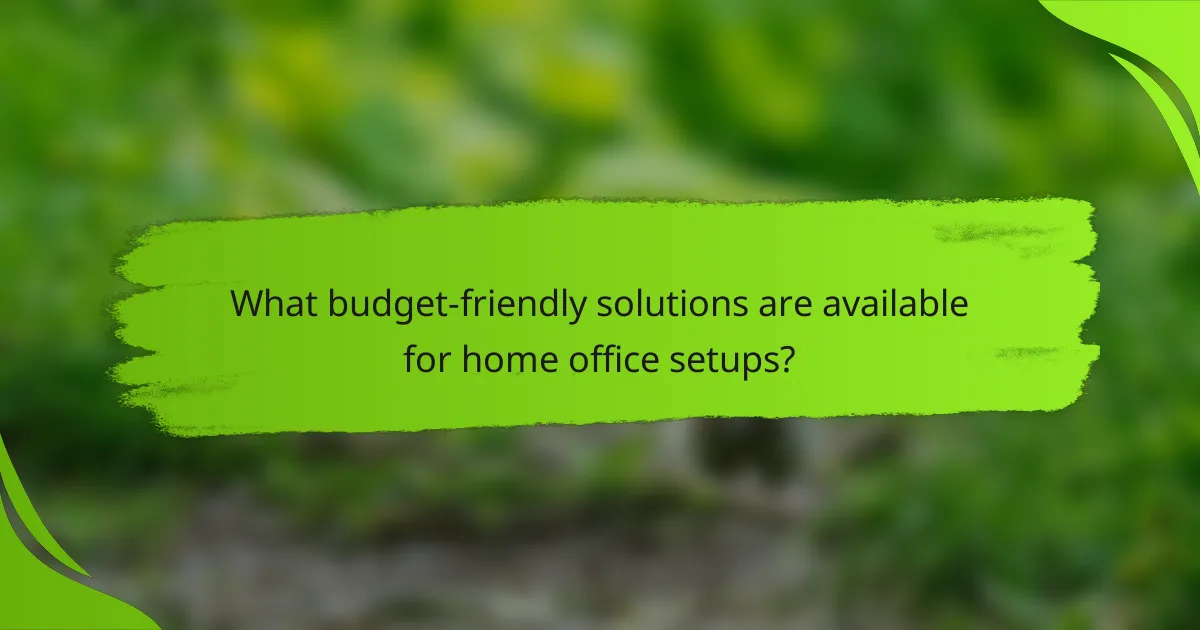 What budget-friendly solutions are available for home office setups?